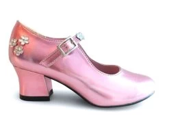 Prinsessen Schoenen Metalic + Gratis Kadootje -Kindermaskerade Winkel 0d7472251bd1dd3306db4c9c659ce2164c73758d 1