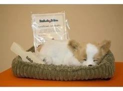 Perfect Petzzz Hondje Chihuahua -Kindermaskerade Winkel 10484a86aa7cea92e1945f6c09b6dc984ce14170