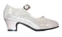 Verkleed Schoenen Zilver Glitter + Gratis Kadootje
