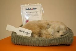 Perfect Petzzz Hondje Golden Retriever -Kindermaskerade Winkel 8a485592459a1814ce2fc4ff8def7b89db7b5980