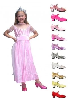 Prinsessenjurk Roze Prinses PAKKET