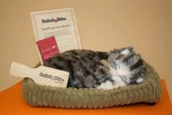 Perfect Petzzz Poes Pooky - Tijger -Kindermaskerade Winkel beabc4ecd3dad499dc611a4d6574875814069bca