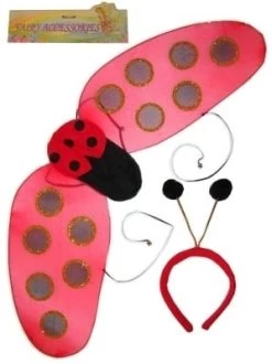 Lieveheersbeestje Vleugels En Diadeem